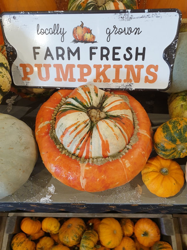COMBO - PYO Pumpkin & Halloween Trail