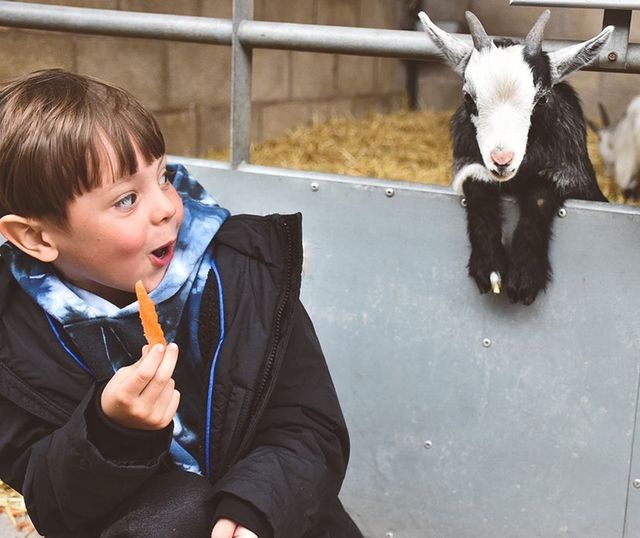 General Farm Admission 2026 🐹🐰