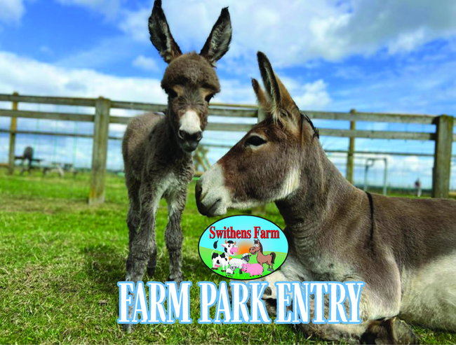 Farm Park Entry 