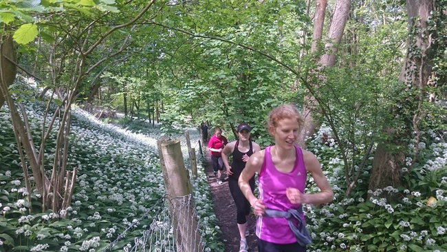 Long run tour