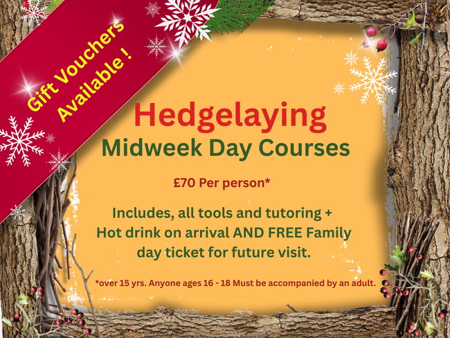 Hedgelaying MIDWEEK Day Course
