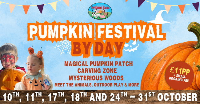Swithens Pumpkin Festival By Day - Includes Farm Entry