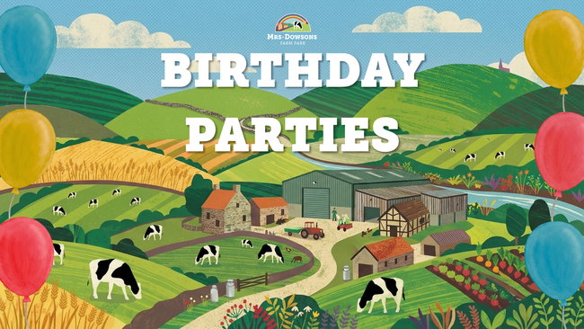 Birthday Parties