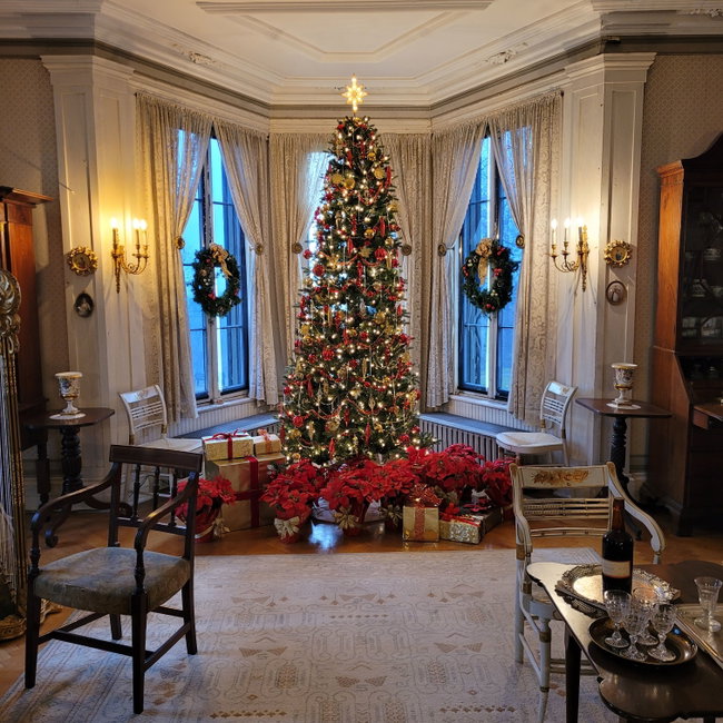 Festive Family Days