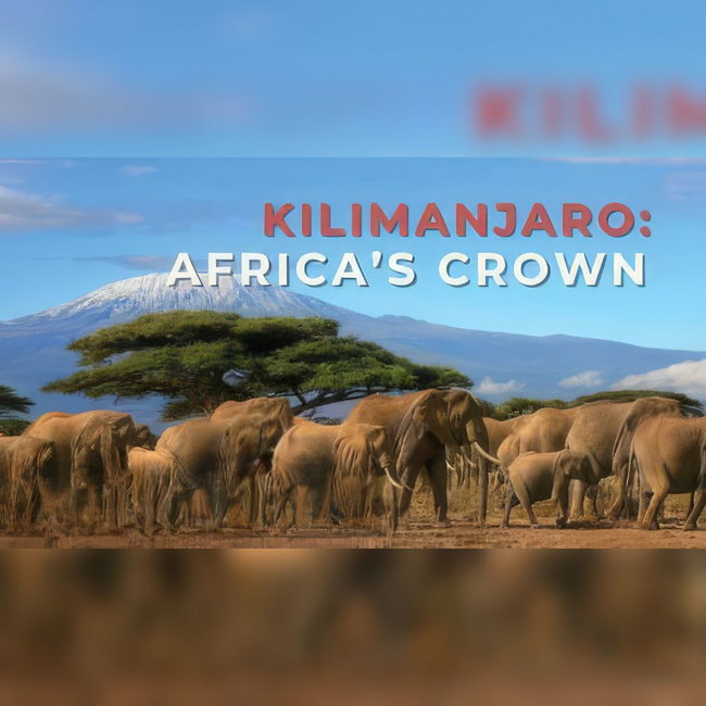 Kilimanjaro: Africa's Crown