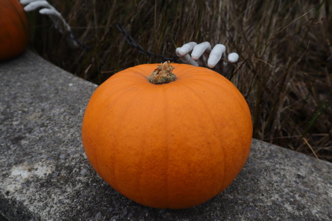 Halloween Scavenger Hunt