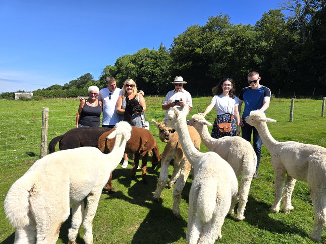 Meet the Alpacas Tour - Private Booking