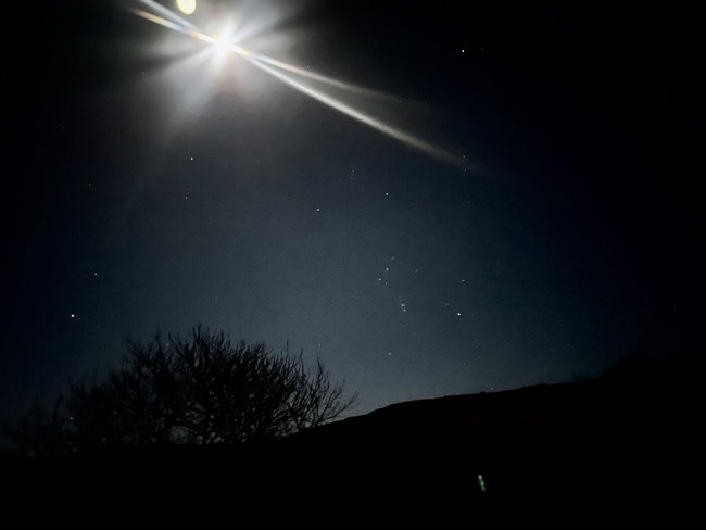 Magical Moonlit walk - Robin Hood's Bay