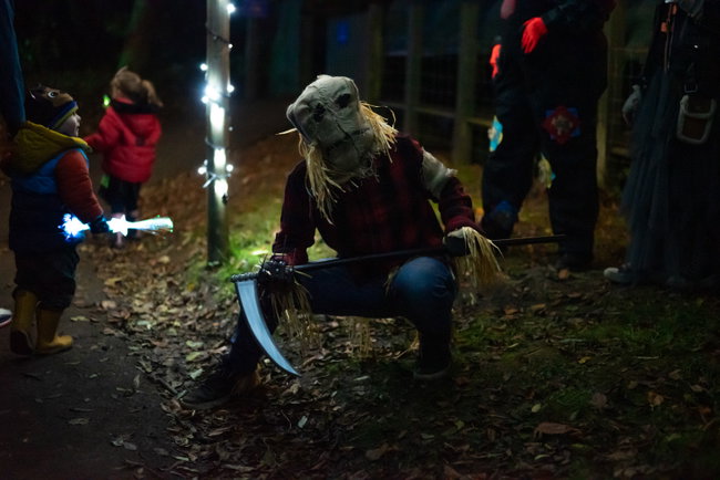 Halloween Fright Nights - Stranger Bings