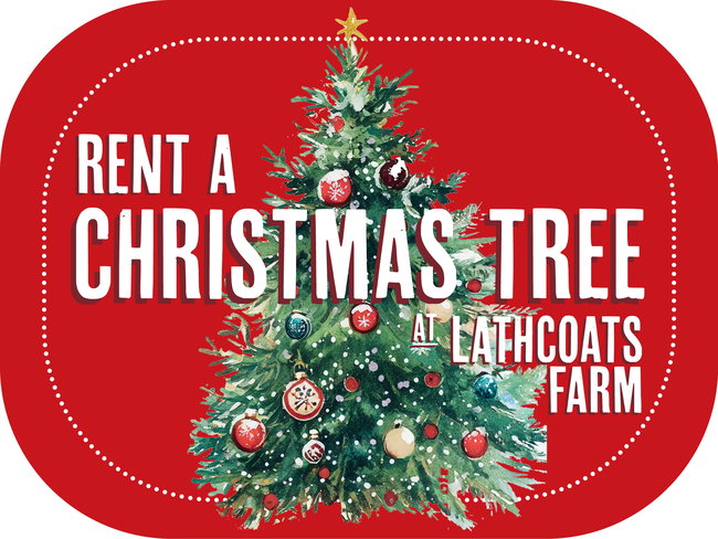 Rent a Christmas Tree