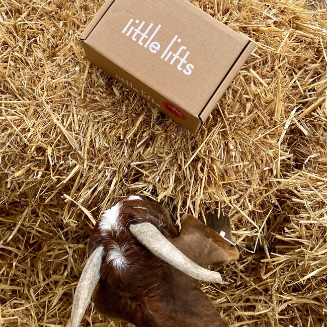 Little Lift's Goat Yoga 