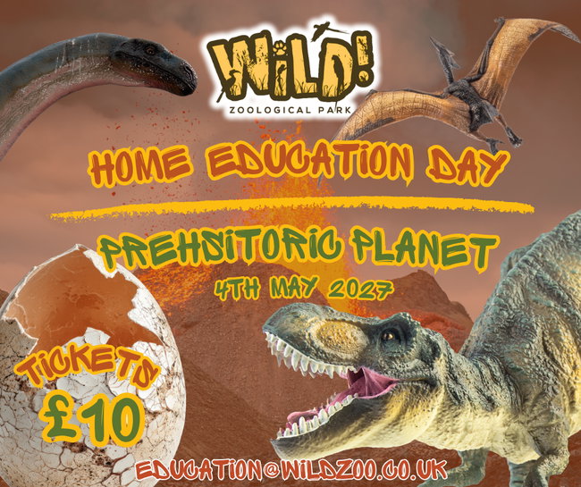 Prehistoric Planet - 4th May 2027