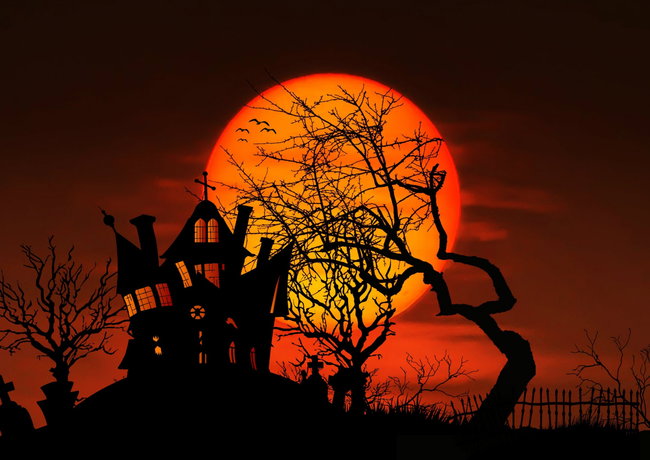 Maidstone Museum | Halloween Party for Kids | 31st October 2026