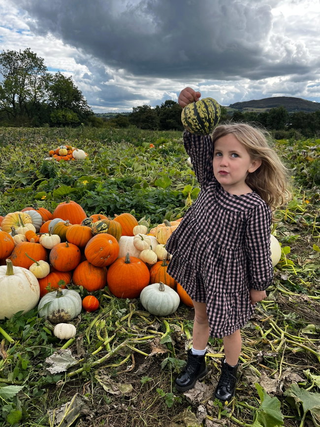 Pye Ash Pumpkin Maze 2026