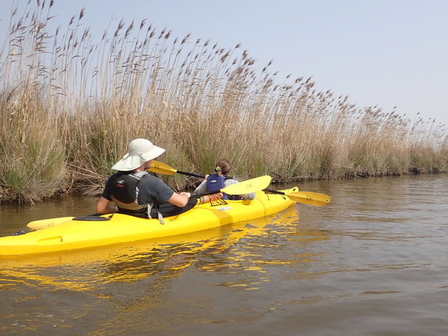 L2: Essentials of Sit-on-Top River Kayaking