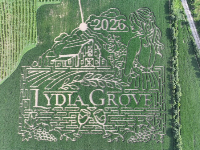 Lydia Grove Corn Maze 2026 ticket