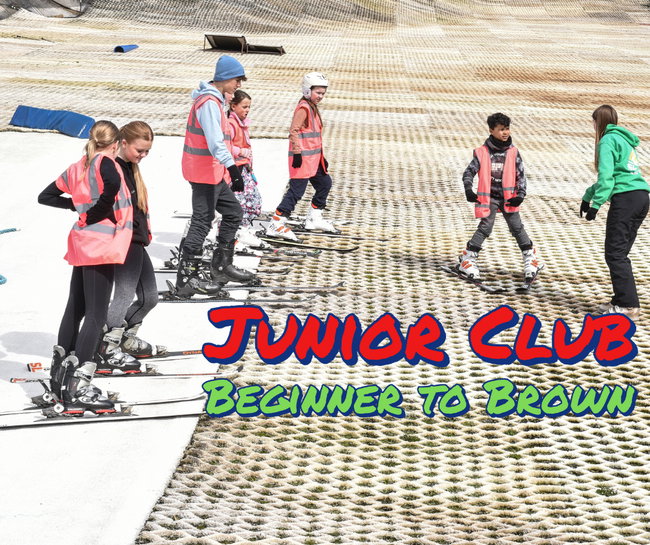 Junior Club - Beginner to Brown Bear