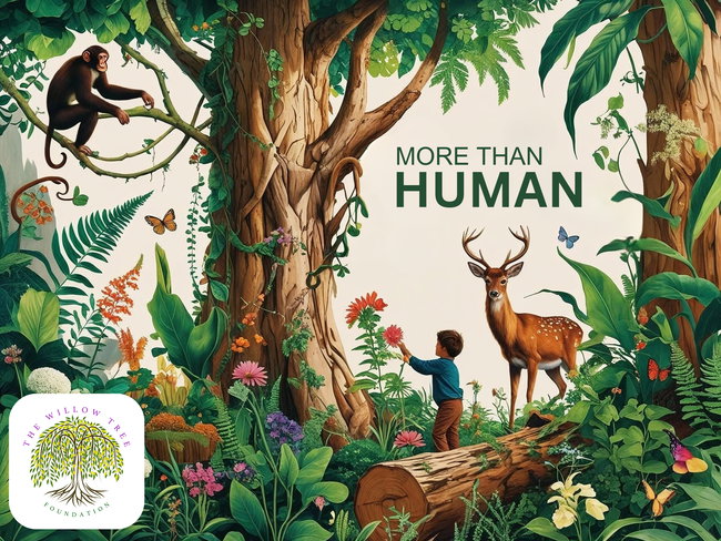 More Than Human Workshop (including evening Autumn Equinox Celebration)