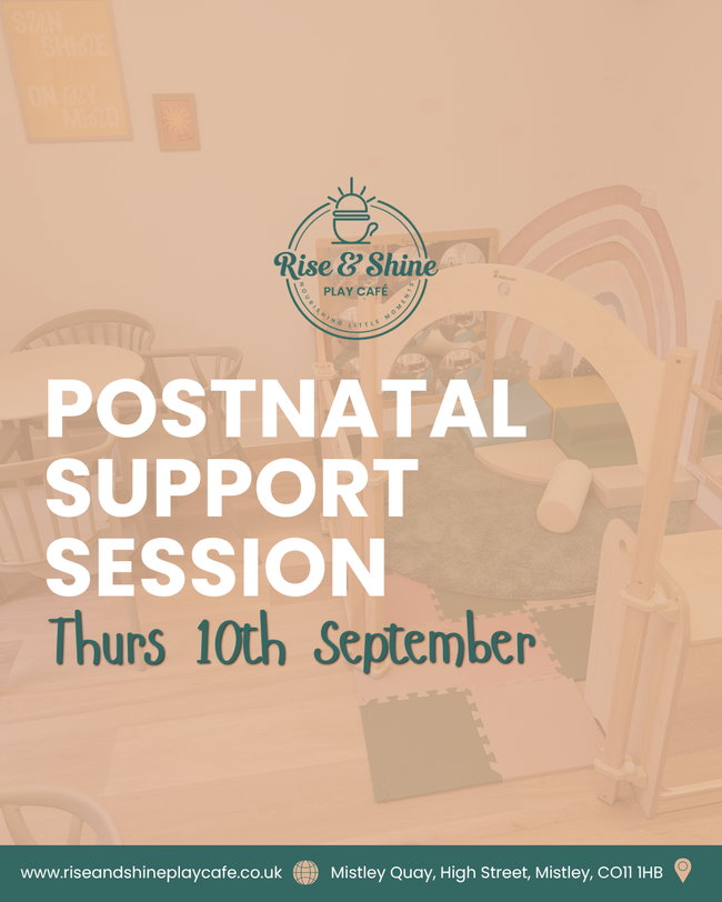 Postnatal Support Session 
