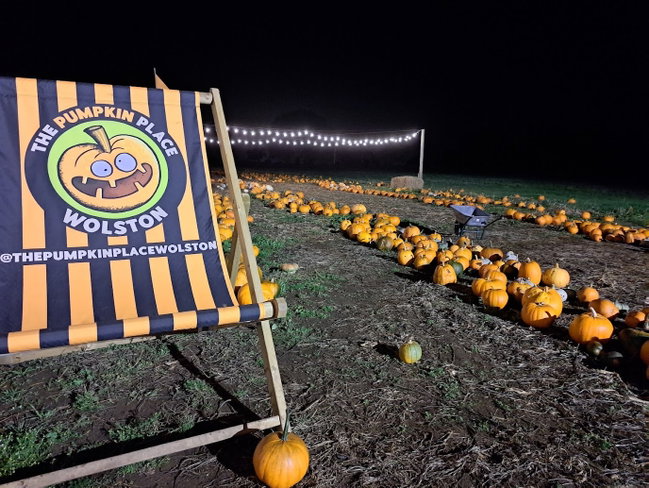 The Pumpkin Place Wolston - Night Picking