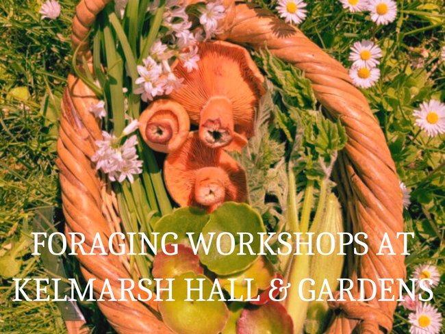 Foraging Workshops at Kelmarsh Hall - Thursday 24th September