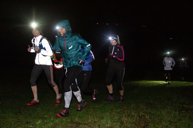 Run the Wild - Night Run