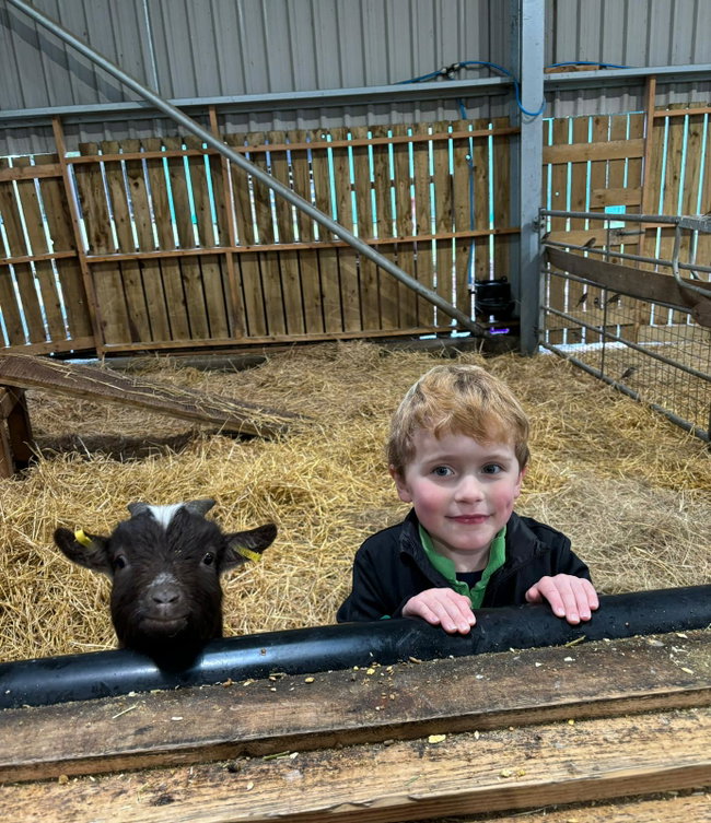 Animal Handling Party - from £434