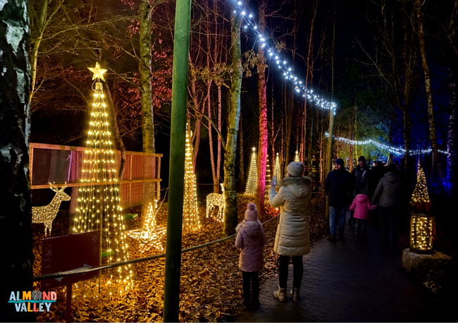 Festival of Christmas & Santa's Cozy Cottage Visits (Evening)
