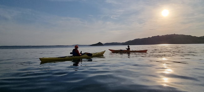 Evening Wildlife and Cave Kayak Tour