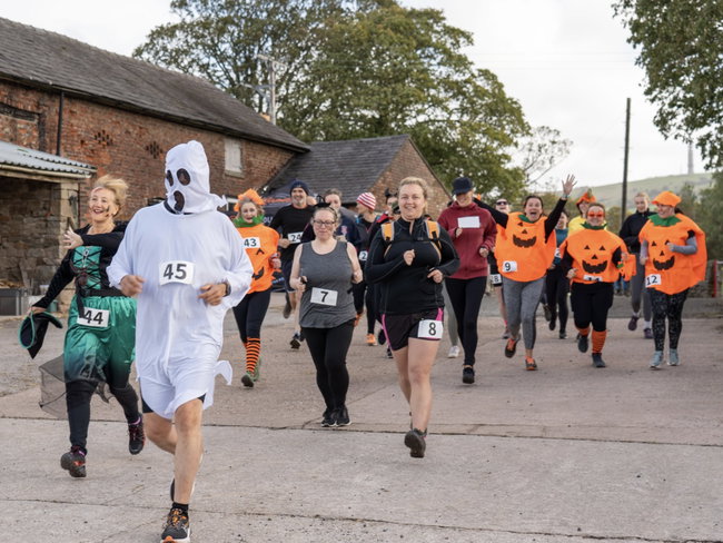 Pye Ash Pumpkin Dash