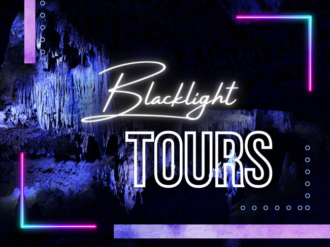 Guided Blacklight Tour