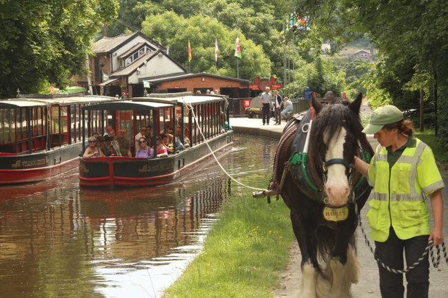 Horse Drawn Trip - 45 mins