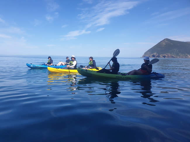 Surfside Two Hour Guided Sea Kayak Tour  