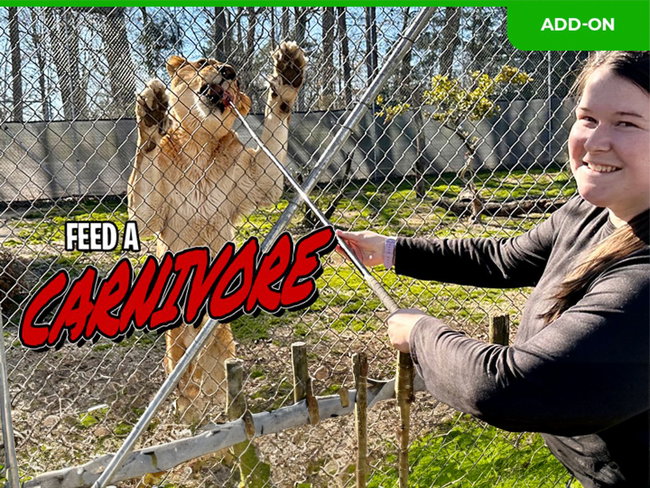 (Add-On) Feed-a-Carnivore 