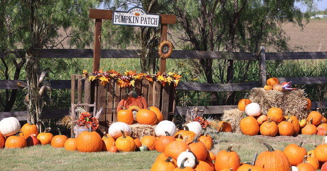 Fall Pumpkin Patch-Pre Season Discounted tickets!