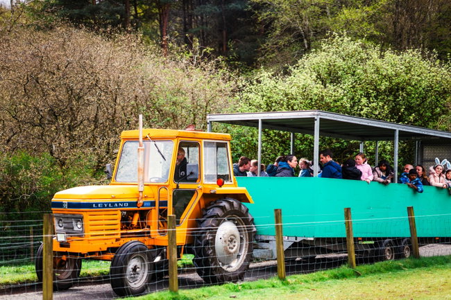 Tractor & Trailor Ride