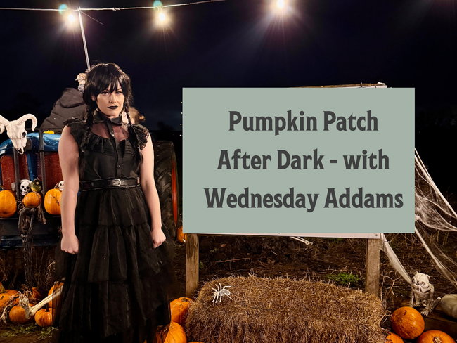 Pumpkin Patch After Dark