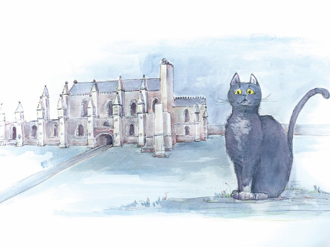 William the Cat - A Musical Tale