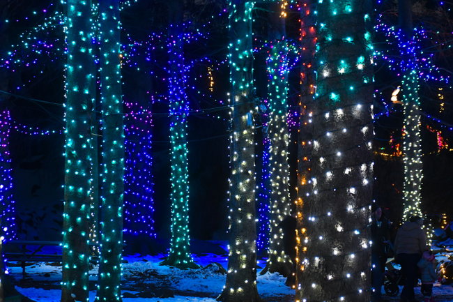 Winter Lights 2026