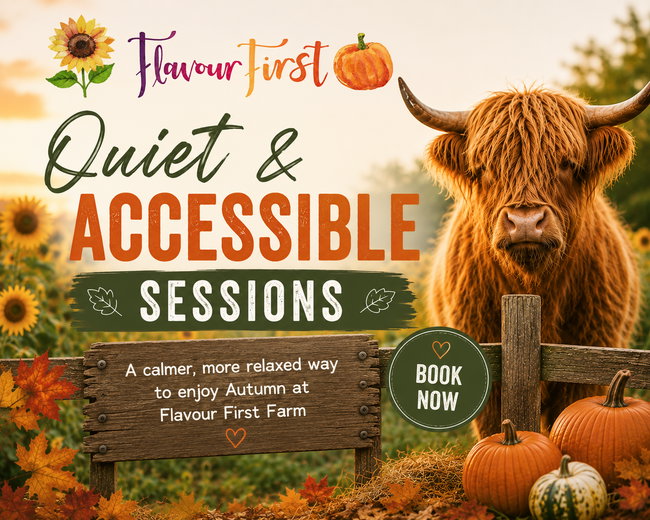 Quiet & Accessible Sessions 