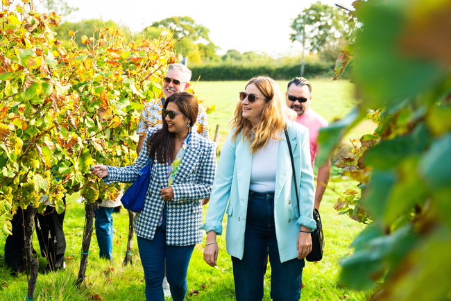 Vintage Bus Wine Tour from London