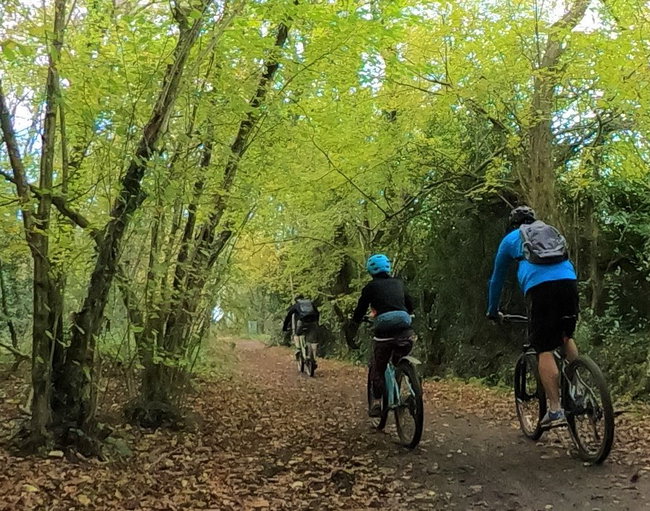 Back of Beyond Moors Vally Leisure Ride