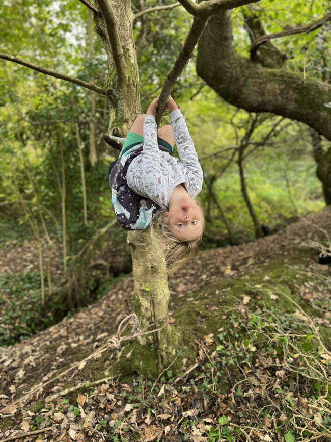 Summer Forest School