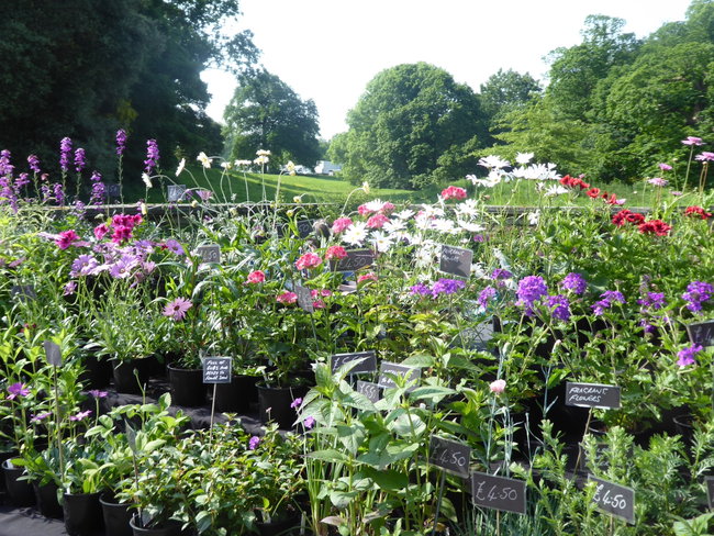 Specialist Plant Fair