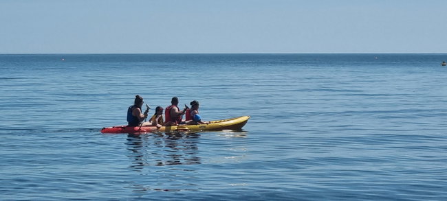 Ocean Sit-on-Top Quatro - Family Kayak Hire