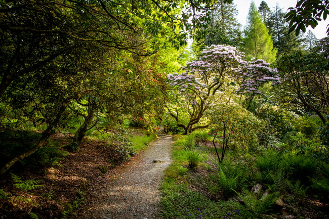 Buy a Woodland Garden Season Pass 