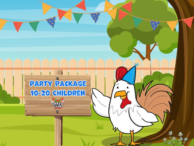  Party Package (10 to 20 children)