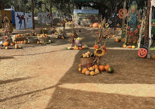 The Haunted Pumpkin Patch - Daytime (mild scare level, no live actors)