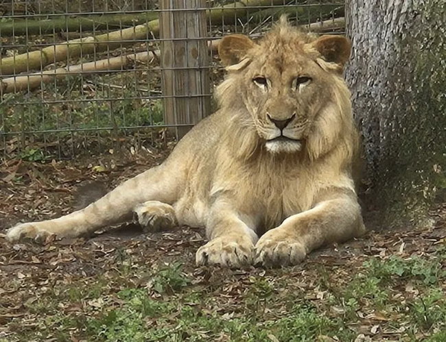 Public Tours