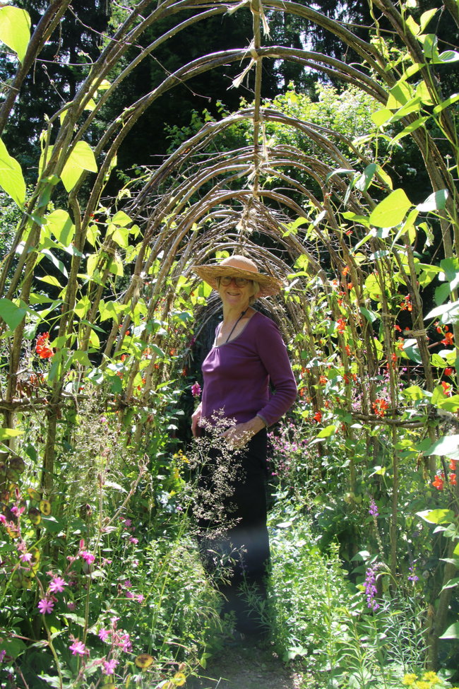 Tour of the Garden with Sue Gift Voucher -- Fridays June to July incl